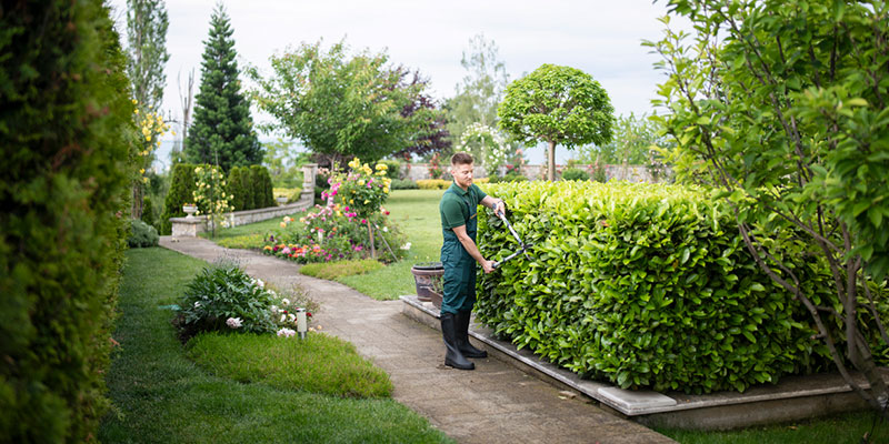 Reasons You Need to Consider Landscaping Financing