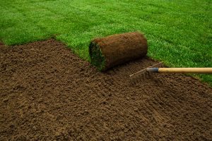 Why You Should Seek Professional Sod Installation Services