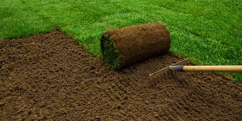 Why You Should Seek Professional Sod Installation Services