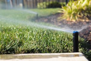 Four Reasons Why a Professional Should Install Sprinkler Systems