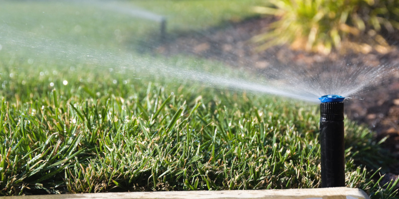 Four Reasons Why a Professional Should Install Sprinkler Systems